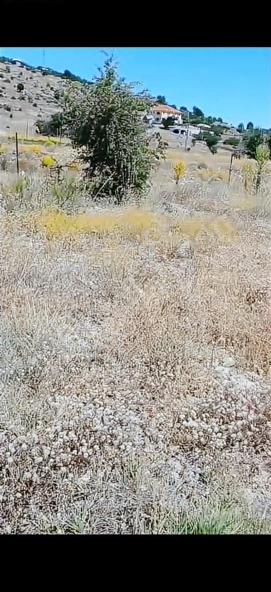 Acill Yayla Karaçulha Satılık Arsa Tarla( İki Ayrı Parsel ) - Görsel 24