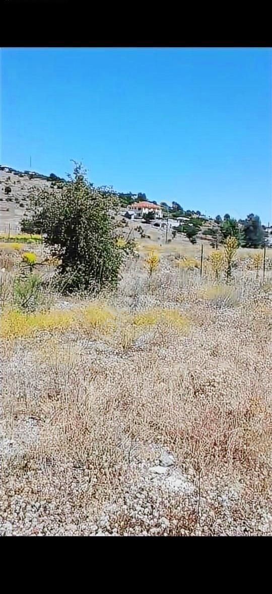 Acill Yayla Karaçulha Satılık Arsa Tarla( İki Ayrı Parsel ) - Görsel 17