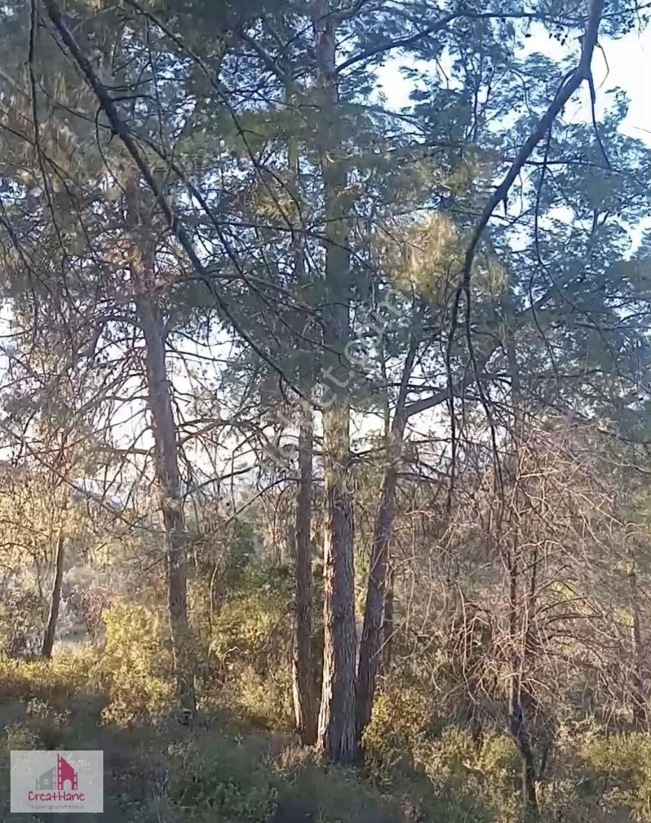 Yetkili Ofis - Göcek'te 4320 M2 Yatırımlık Tarla