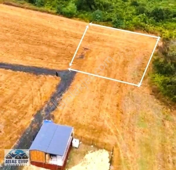 Çatalca Çanakça Mevkin De Orman Ve Doğa İçinde Tek Tapu Tarla