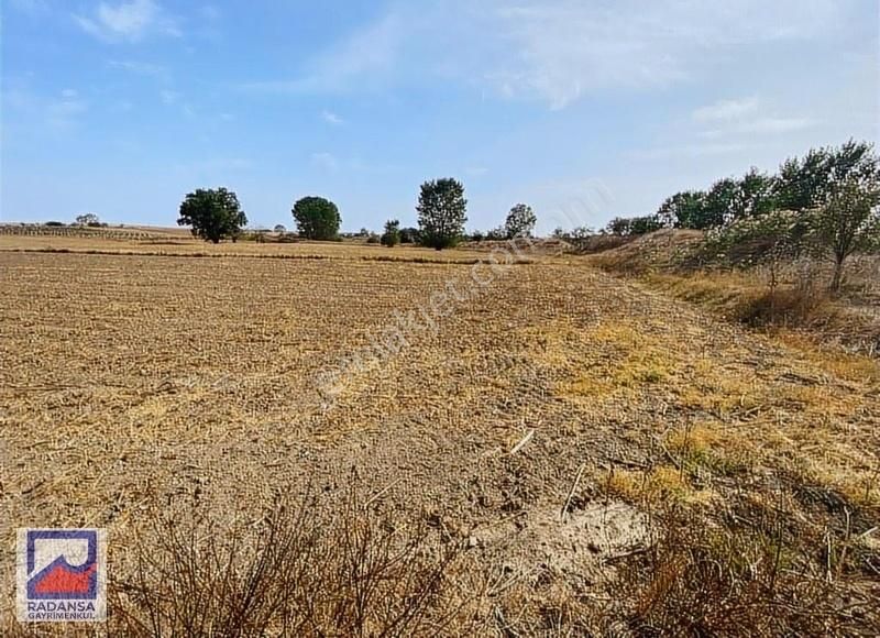 Lüleburgaz Çiftlikköy'de Asfalta 50m Yakın Yatırımlık Arazi