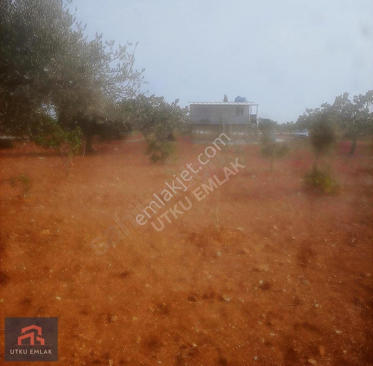 Utku Emlak Dogru Yatırım Danışmanlıgı - Görsel 3