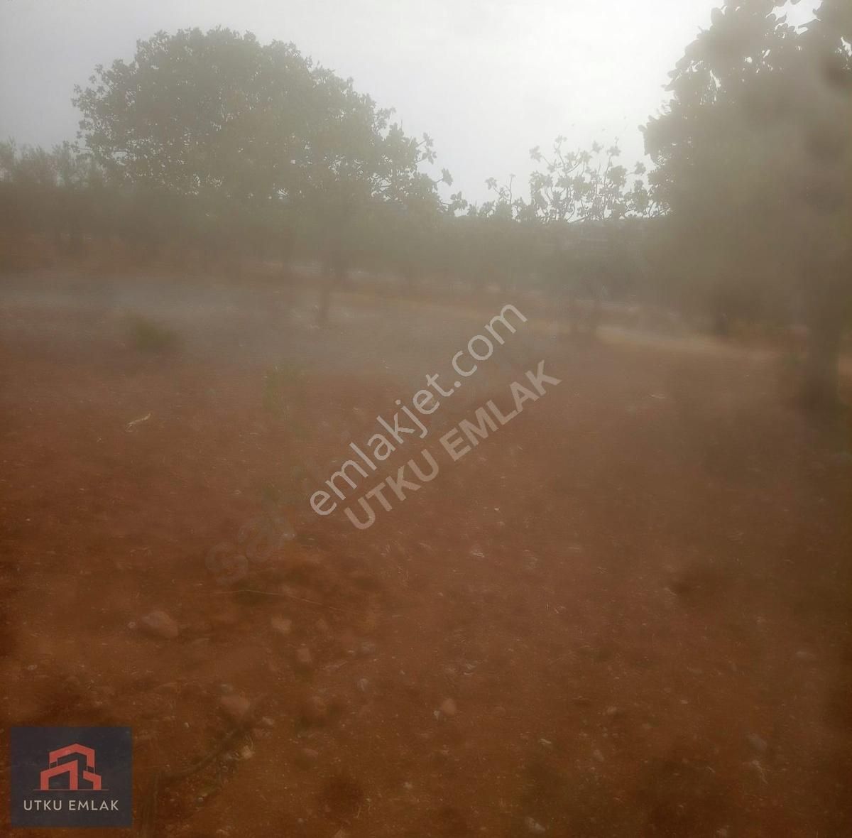 Utku Emlak Dogru Yatırım Danışmanlıgı - Görsel 2