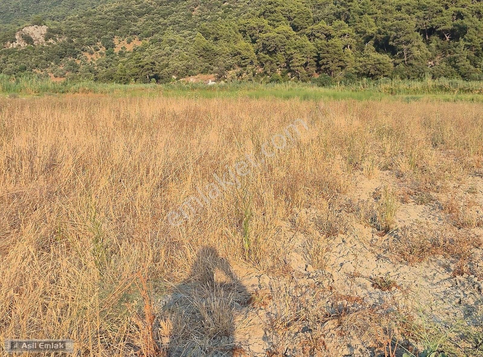 Asil Emlaktan Ortaca Güzelyurt Akdoğanda Satılık Tarla - Görsel 14