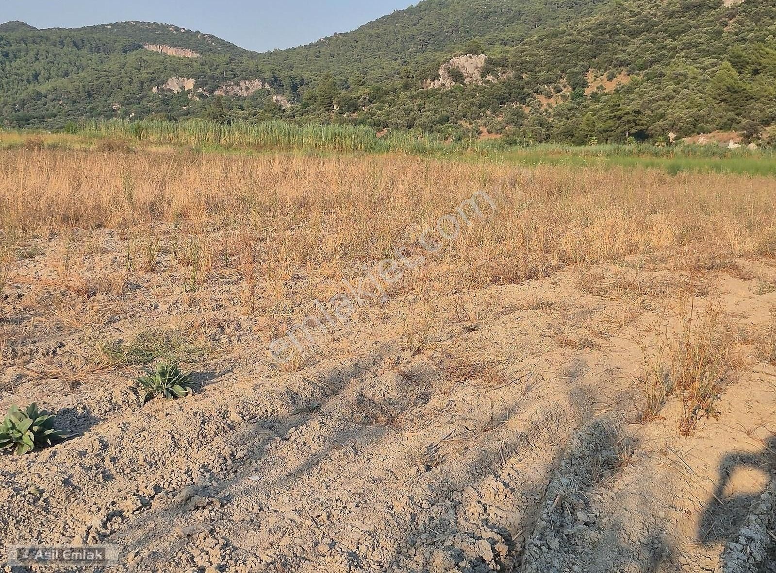 Asil Emlaktan Ortaca Güzelyurt Akdoğanda Satılık Tarla - Görsel 2