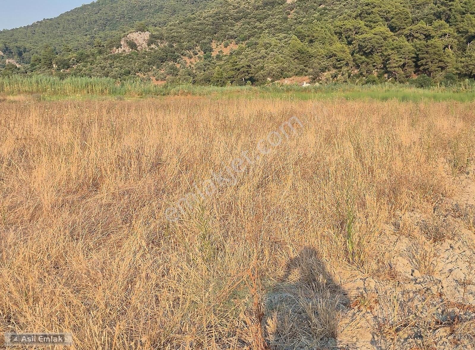 Asil Emlaktan Ortaca Güzelyurt Akdoğanda Satılık Tarla - Görsel 12