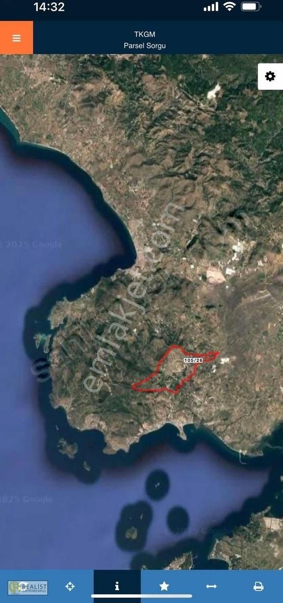 İzmir Dikilide 5.295 M2 Bakımlı Zeytinlik