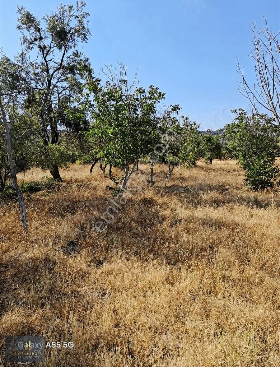 İşte Fırstattt!!!!670m2 Ceviz Bahçeci - Görsel 2