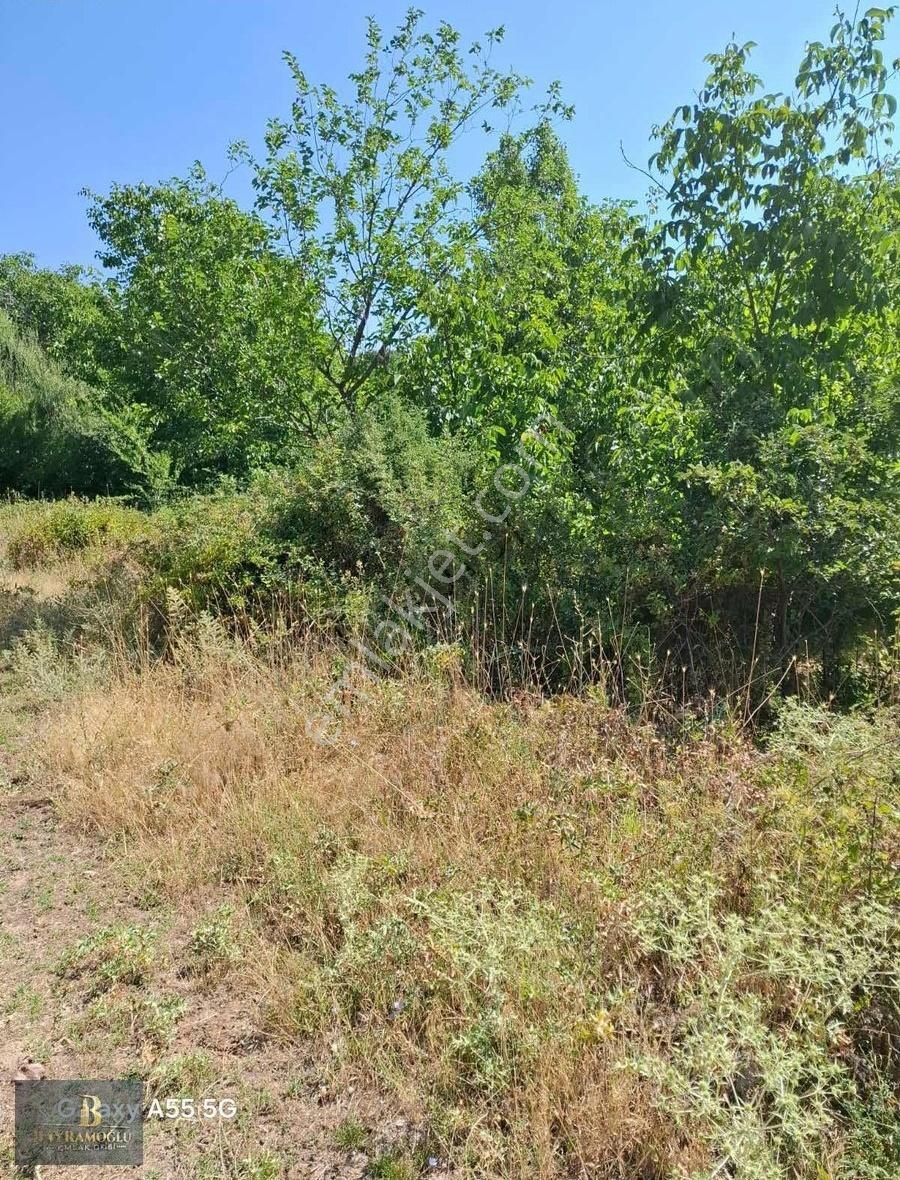 Acilllll!!!!1461m2 Ceviz Bahçesi - Görsel 7