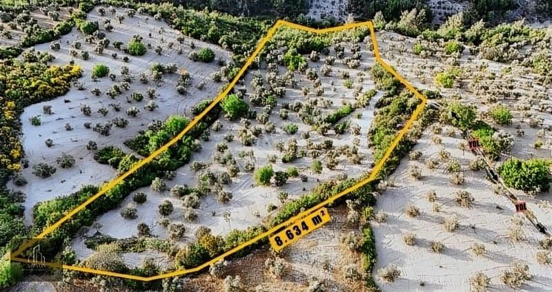 Yayladağı Turfanda Köyünde Asfalta Yakın 8.634 Metrekare