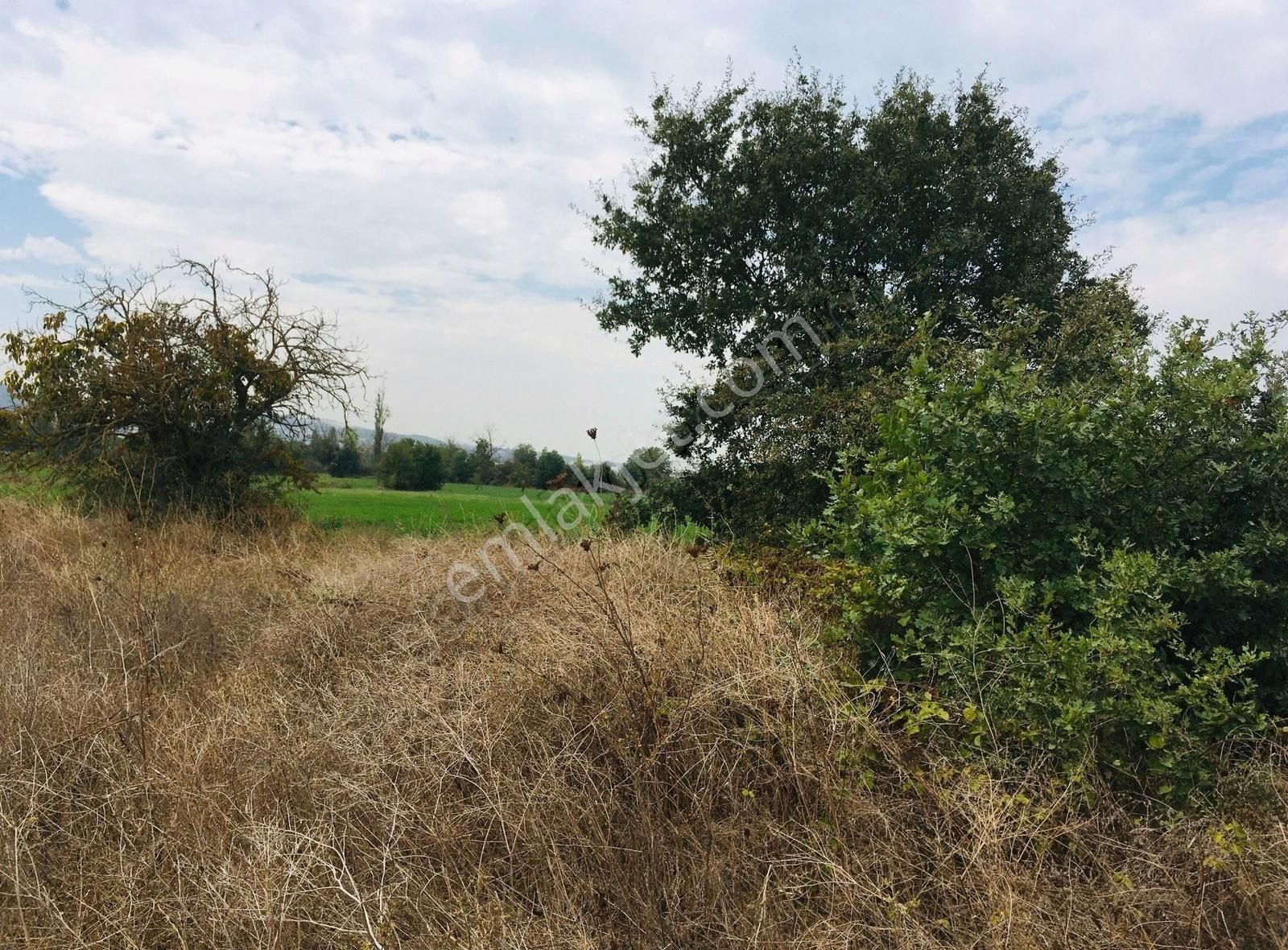 Kayapa İstiklalde Yerleşim Bölgesine Yakın Yatırıma Uygun Arazi - Görsel 10