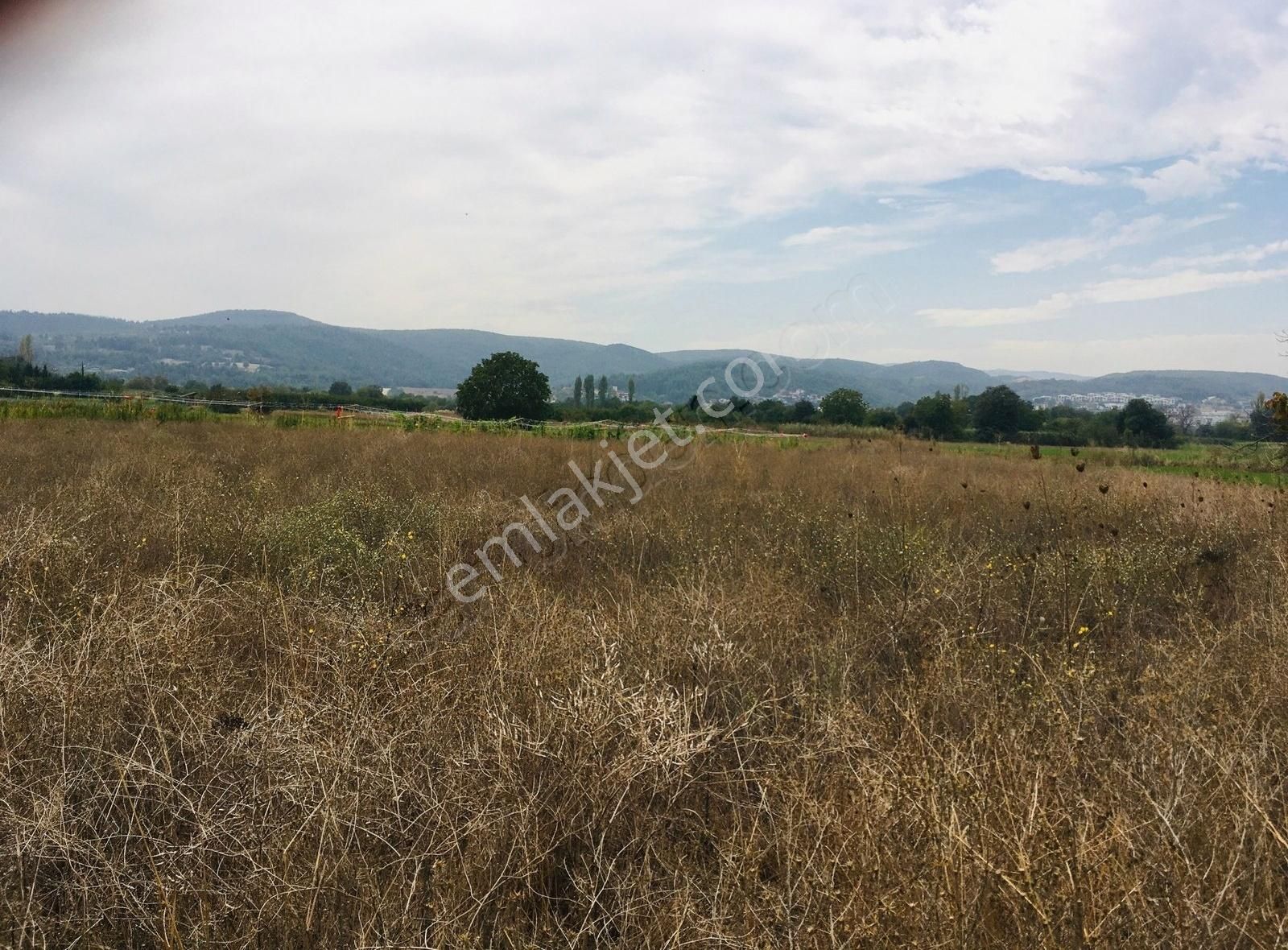 Kayapa İstiklalde Yerleşim Bölgesine Yakın Yatırıma Uygun Arazi - Görsel 2