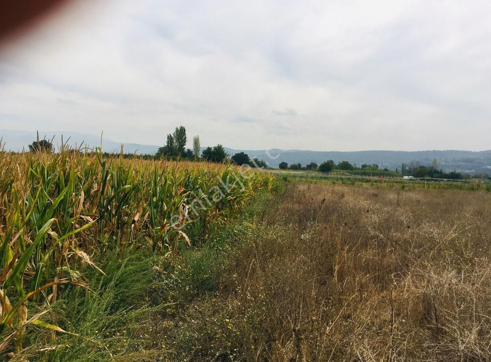 Kayapa İstiklalde Yerleşim Bölgesine Yakın Yatırıma Uygun Arazi - Görsel 9
