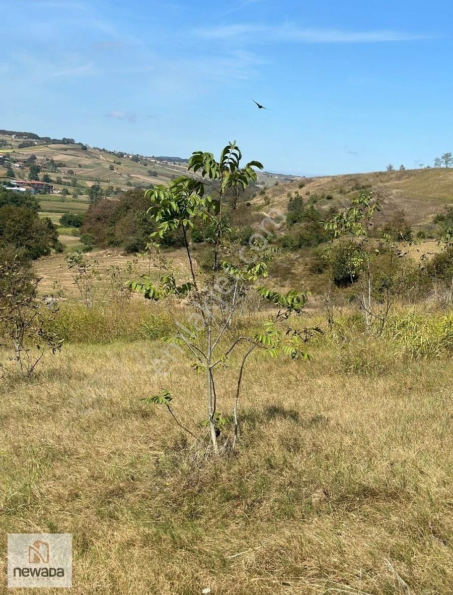 Kandıra Hıdırlar Mah. Satılık 2.468m2 Yatırımlık Tarla