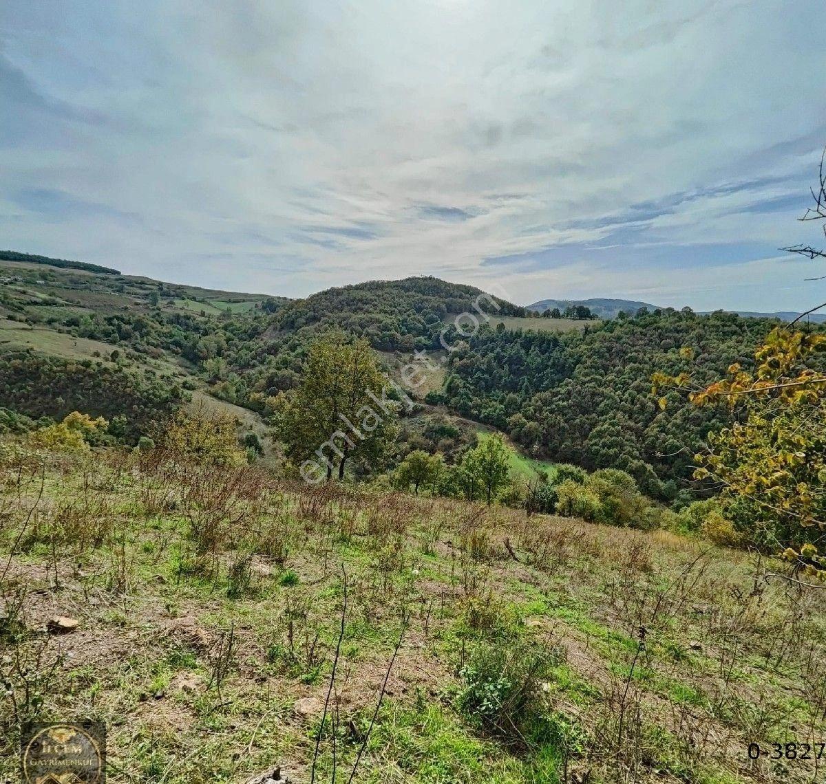 #karamürsel #fulacık Köyünde #arsa(#bağ& #bahçe) - Görsel 5