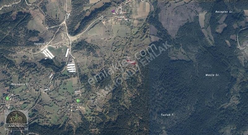 Çamlıoğlu Gayrimenkul'den - Pelitçik Köyünde - 1.675,25 M2 Tarla