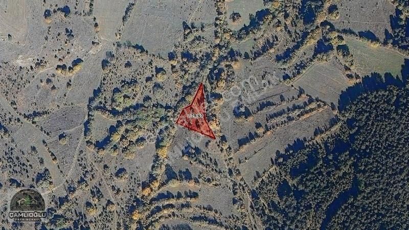 Çamlıoğlu Gayrimenkul'den - Pelitçik Köyünde - 1.763,42 M2 Tarla