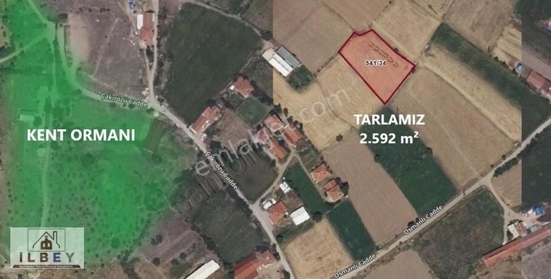 İlbey // Taşlıca Mah. Kent Ormanı Civarında 2.592 M² Tarla