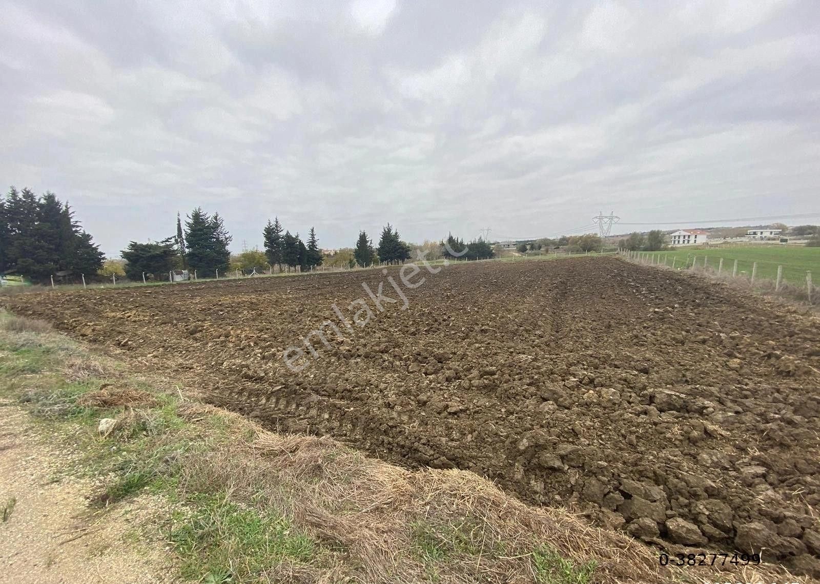 Silivri Fenerköyde Sırtta Gişelerin Çıkışı Tokini Evlerine Yakım Mesafe Yatırımlık Kupon Tarla - Görsel 2