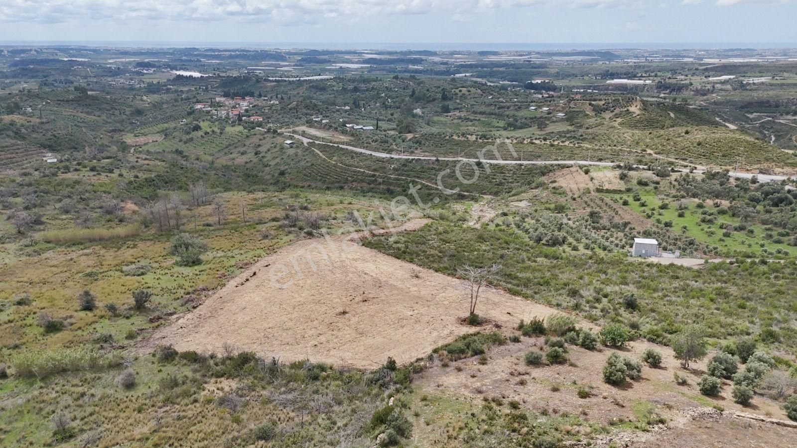 Evrenleryavşide Sahibinden Tek Tapulu Tarla - Görsel 5