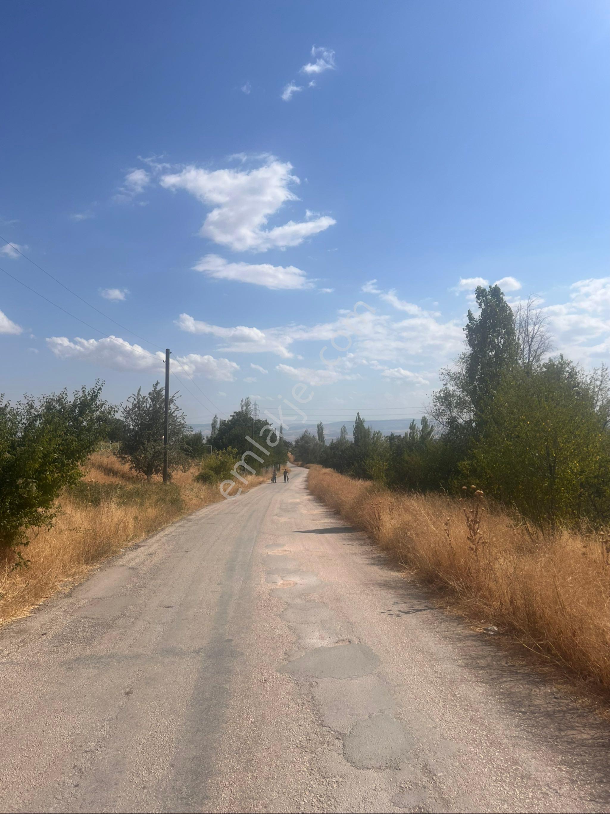 Çınar Emlak'tan Satılık Arazi-tarla - Görsel 5