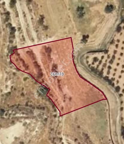 Uluyatır - Nizip 'de Satılık Bağevi İçin Arazi.