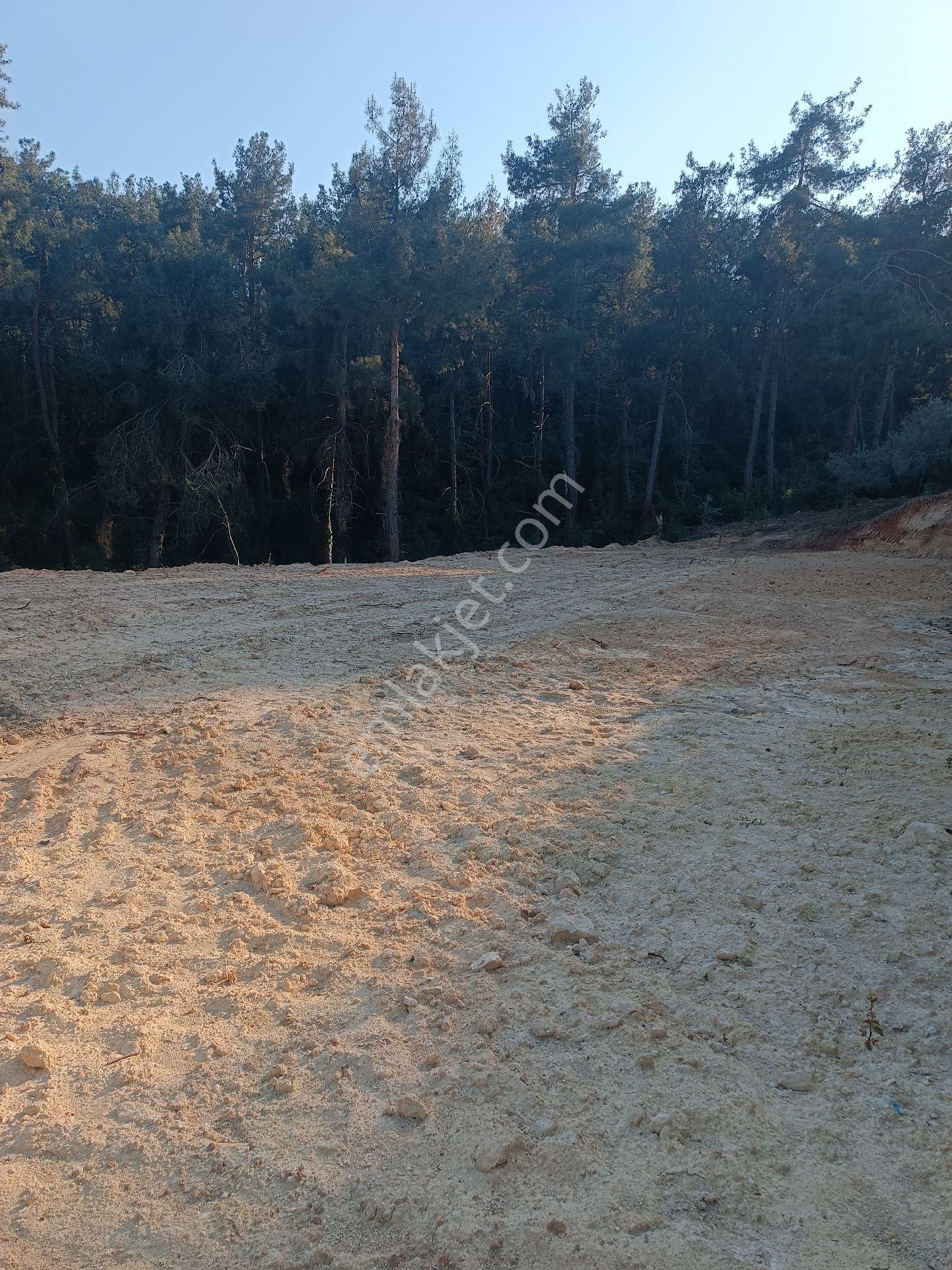 Tarsus Kaburgediginde 415 M2 Yaylalik Arsa - Görsel 2