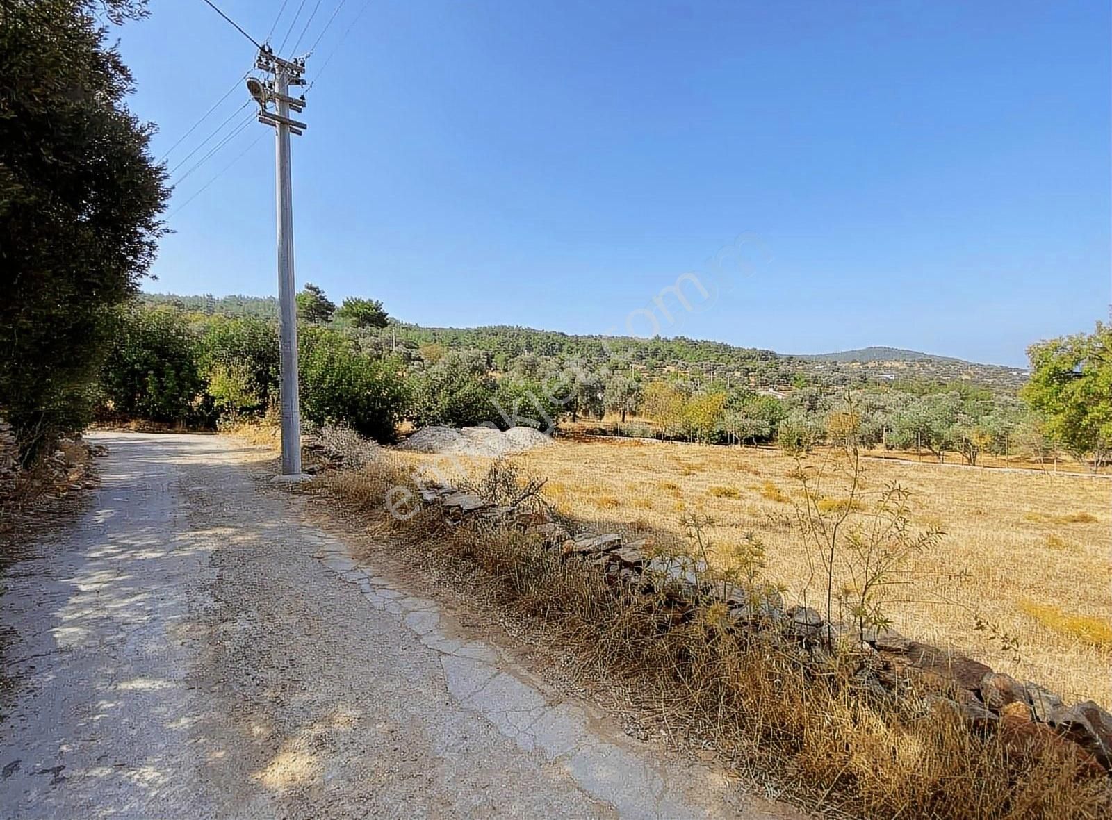 Bodrum Yalıçiftlik Emsal 10 Konut İmarlı Müstakil Villa Arazisi - Görsel 2