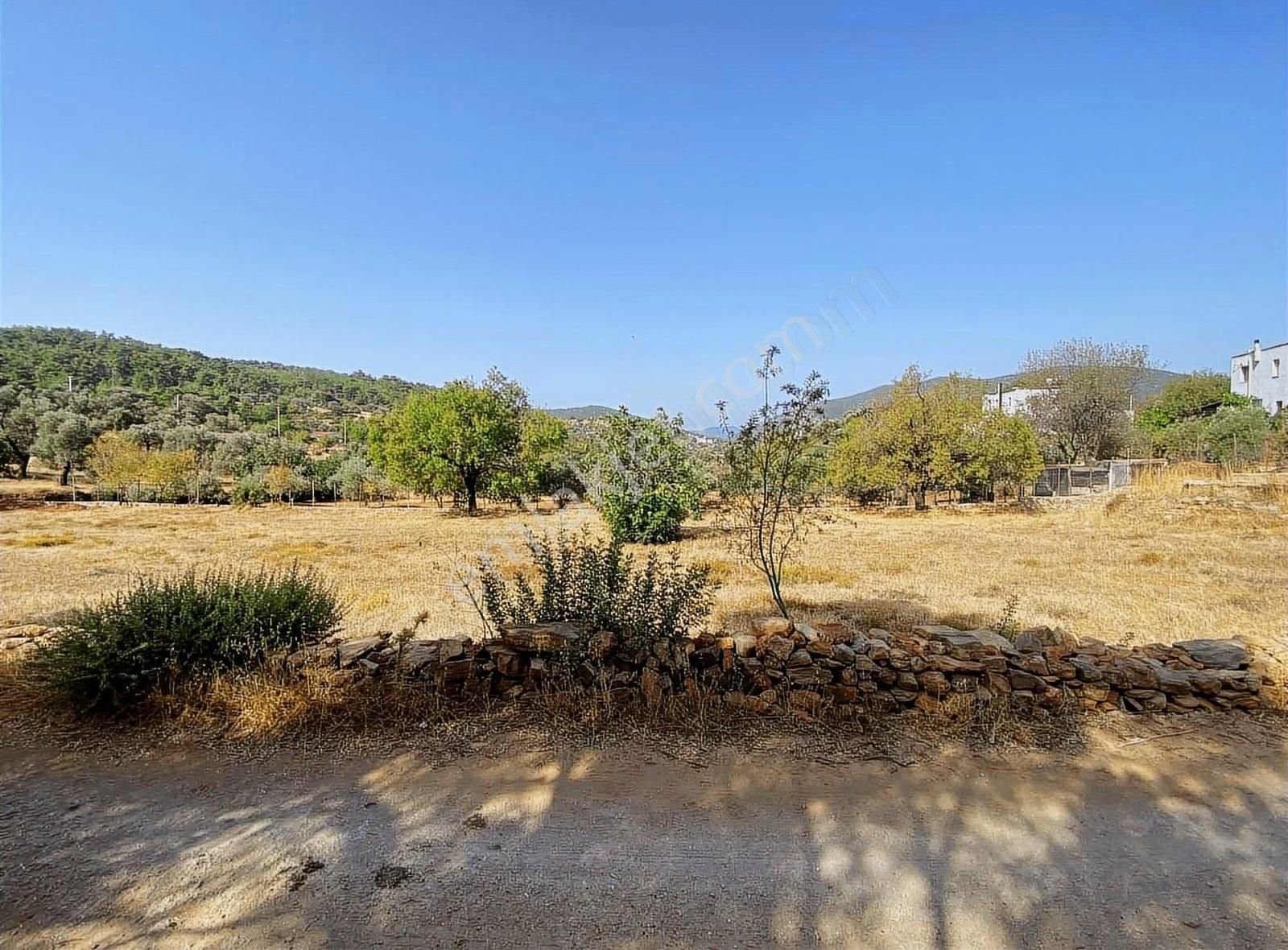 Bodrum Yalıçiftlik Emsal 10 Konut İmarlı Müstakil Villa Arazisi - Görsel 3