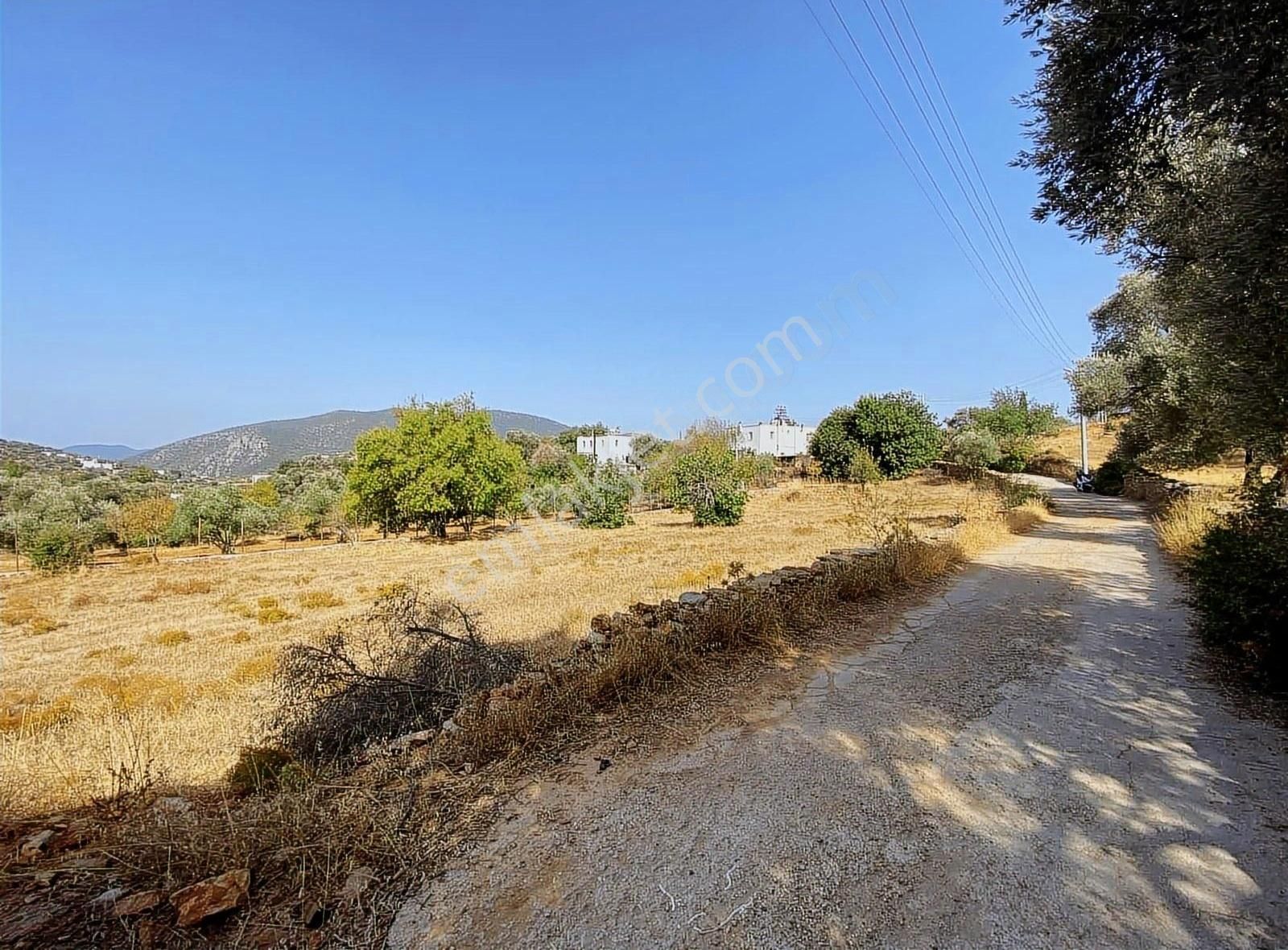 Bodrum Yalıçiftlik Emsal 10 Konut İmarlı Müstakil Villa Arazisi - Görsel 5