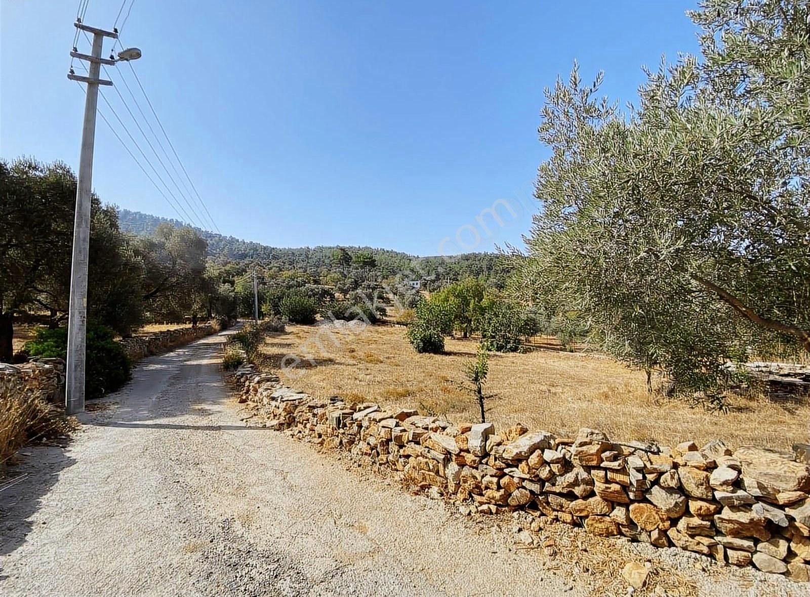 Bodrum Yalıçiftlik Emsal 10 Konut İmarlı Müstakil Villa Arazisi - Görsel 6