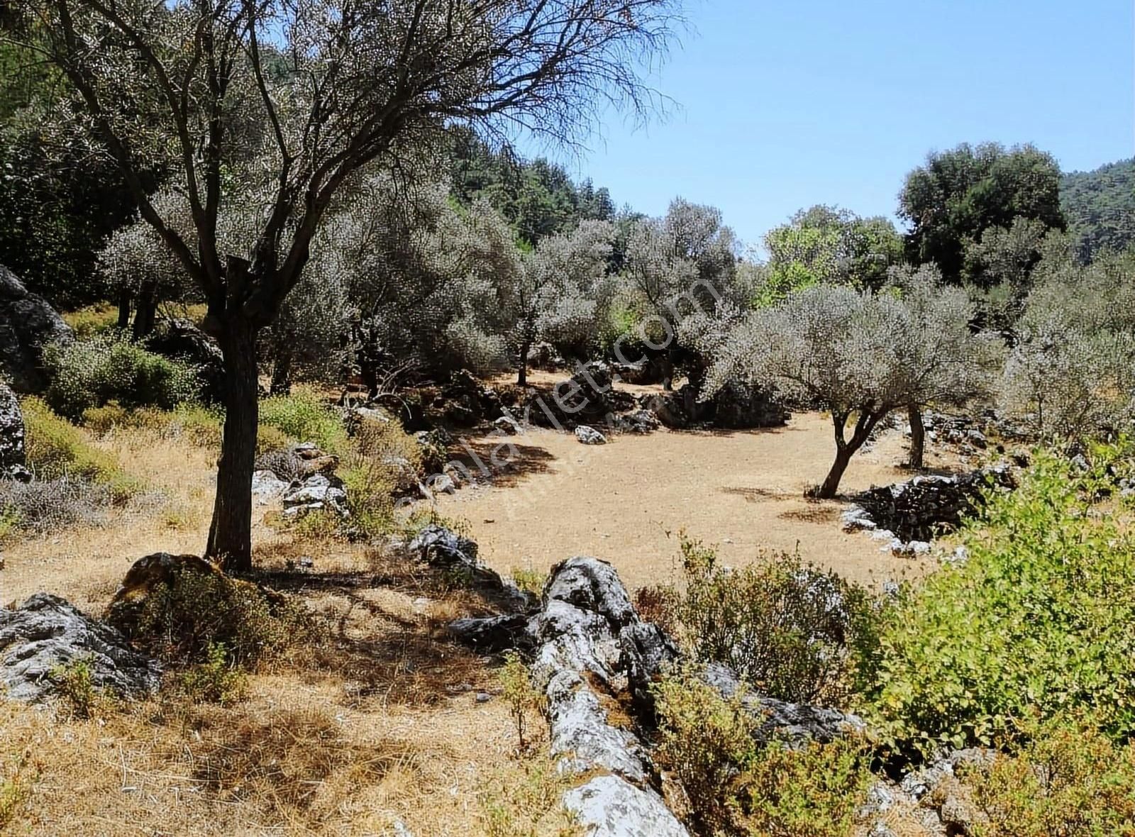 Gelişmekte Olan Bölgede Yatırım Fırsatı Marmaris Osmaniye