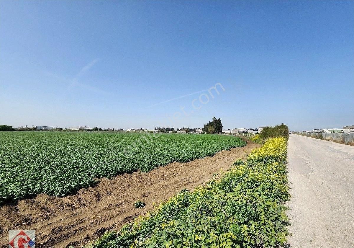 Görgün'den Yeni Sanayi Güneyi 40.819m2 Satılık Köşe Parsel Tarla - Görsel 16