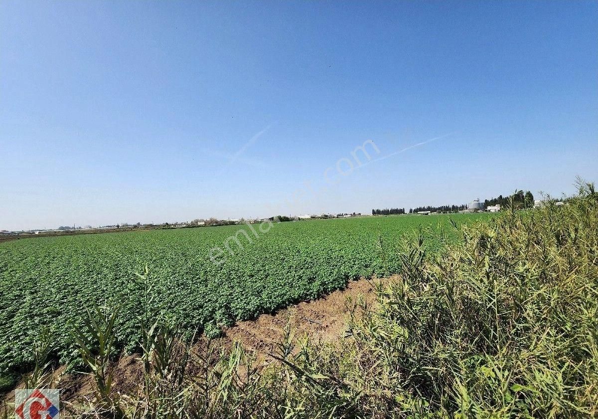 Görgün'den Yeni Sanayi Güneyi 40.819m2 Satılık Köşe Parsel Tarla - Görsel 3