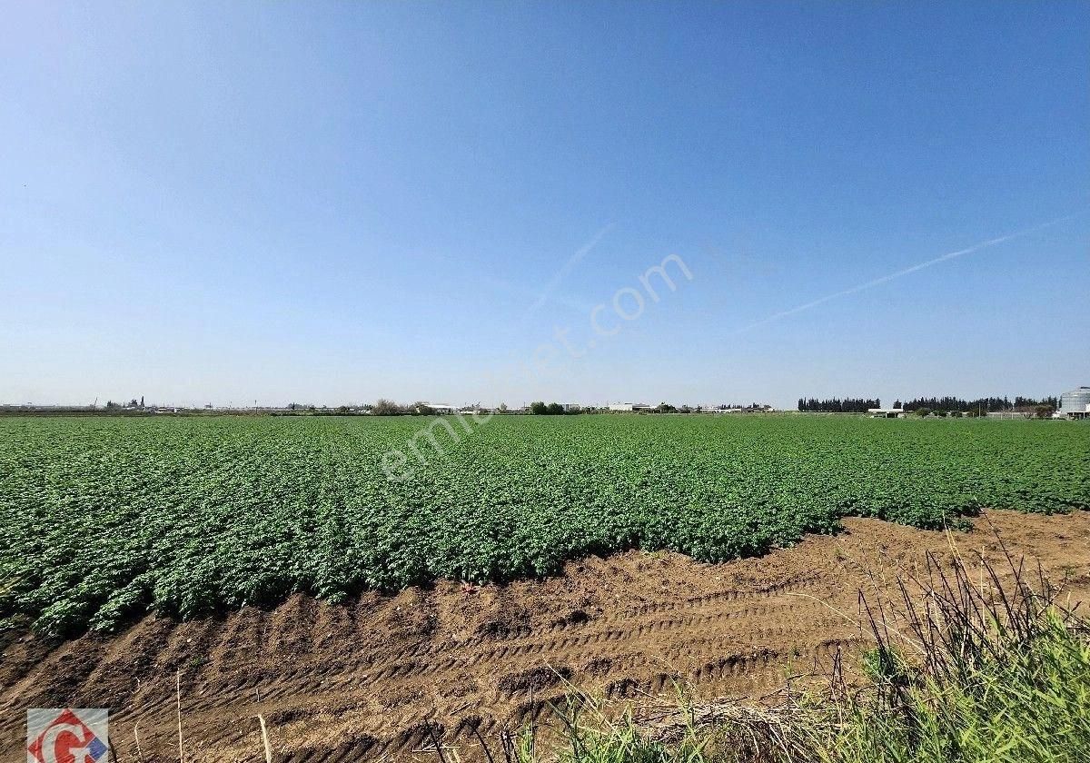 Görgün'den Yeni Sanayi Güneyi 40.819m2 Satılık Köşe Parsel Tarla - Görsel 8
