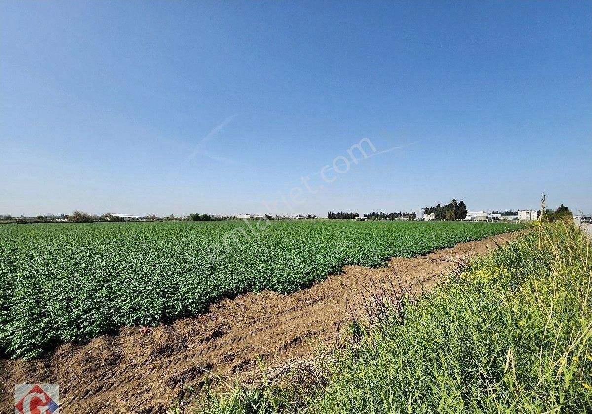 Görgün'den Yeni Sanayi Güneyi 40.819m2 Satılık Köşe Parsel Tarla - Görsel 4