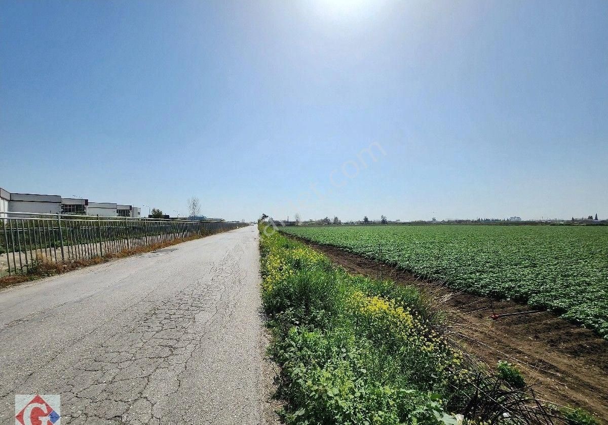 Görgün'den Yeni Sanayi Güneyi 40.819m2 Satılık Köşe Parsel Tarla - Görsel 19