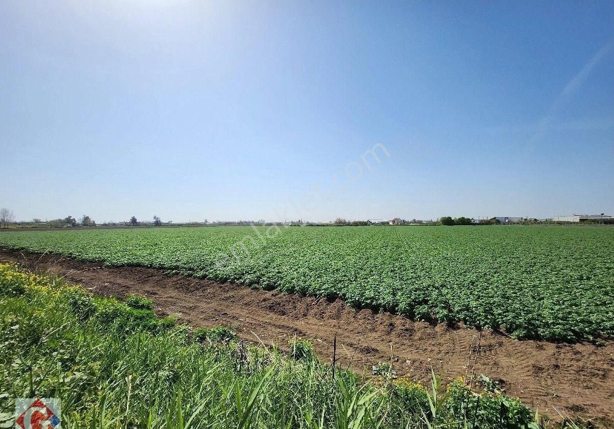 Görgün'den Yeni Sanayi Güneyi 40.819m2 Satılık Köşe Parsel Tarla - Görsel 22