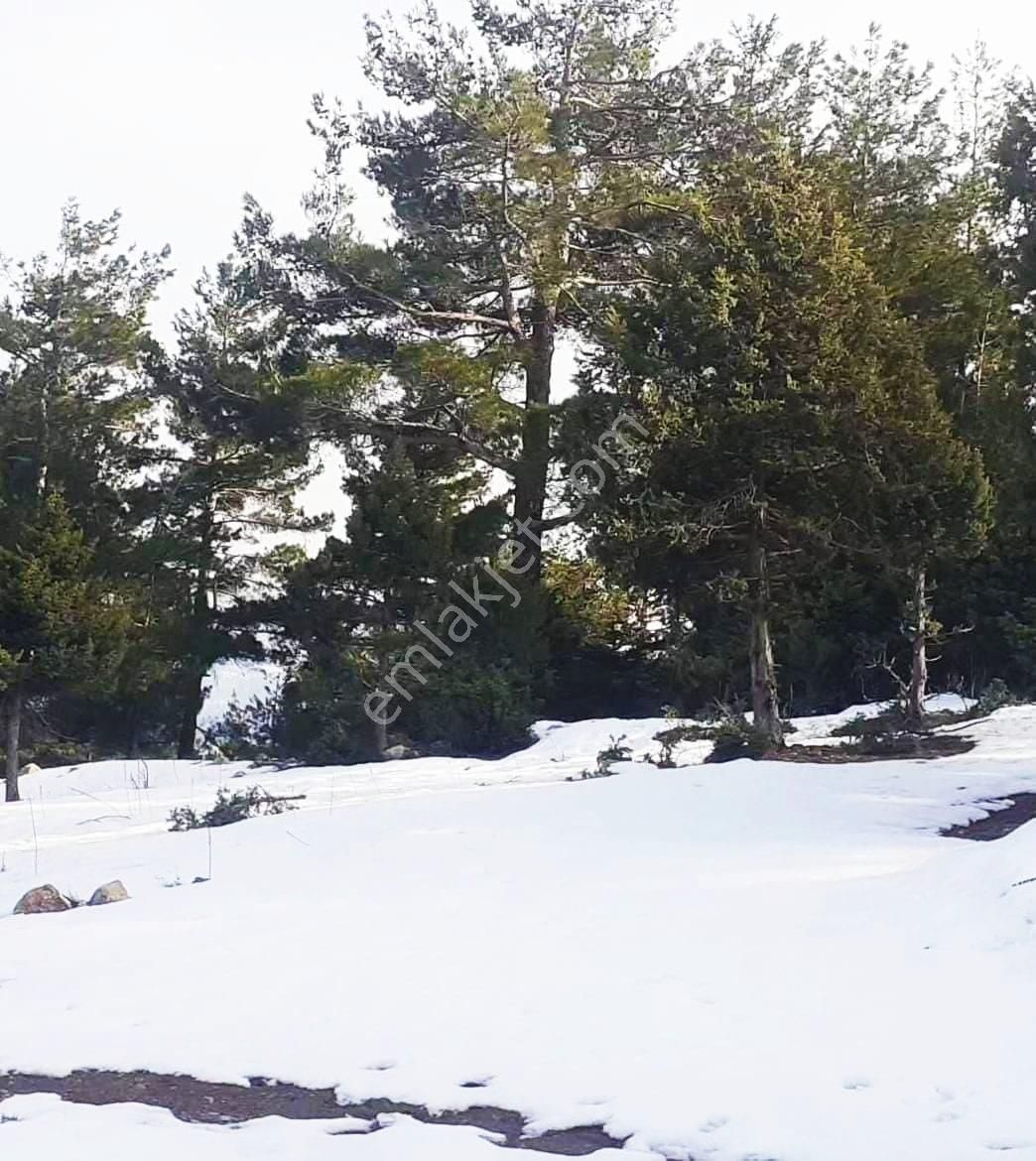Pozantı Kar Emlaktan Yeni Konacık Kırıntı Mevkiinde 725 M2 Arsa - Görsel 2