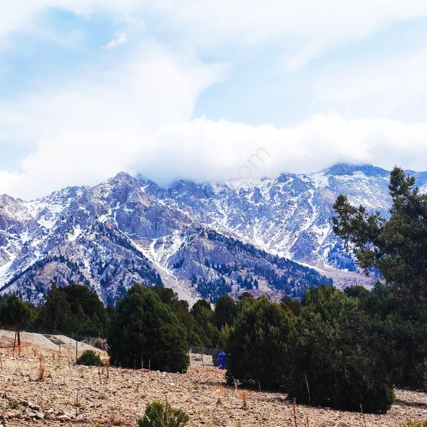 Pozantı Kar Emlaktan Aşçıbekirli Fenese Mevkiinde 400 M2 Arsa - Görsel 15