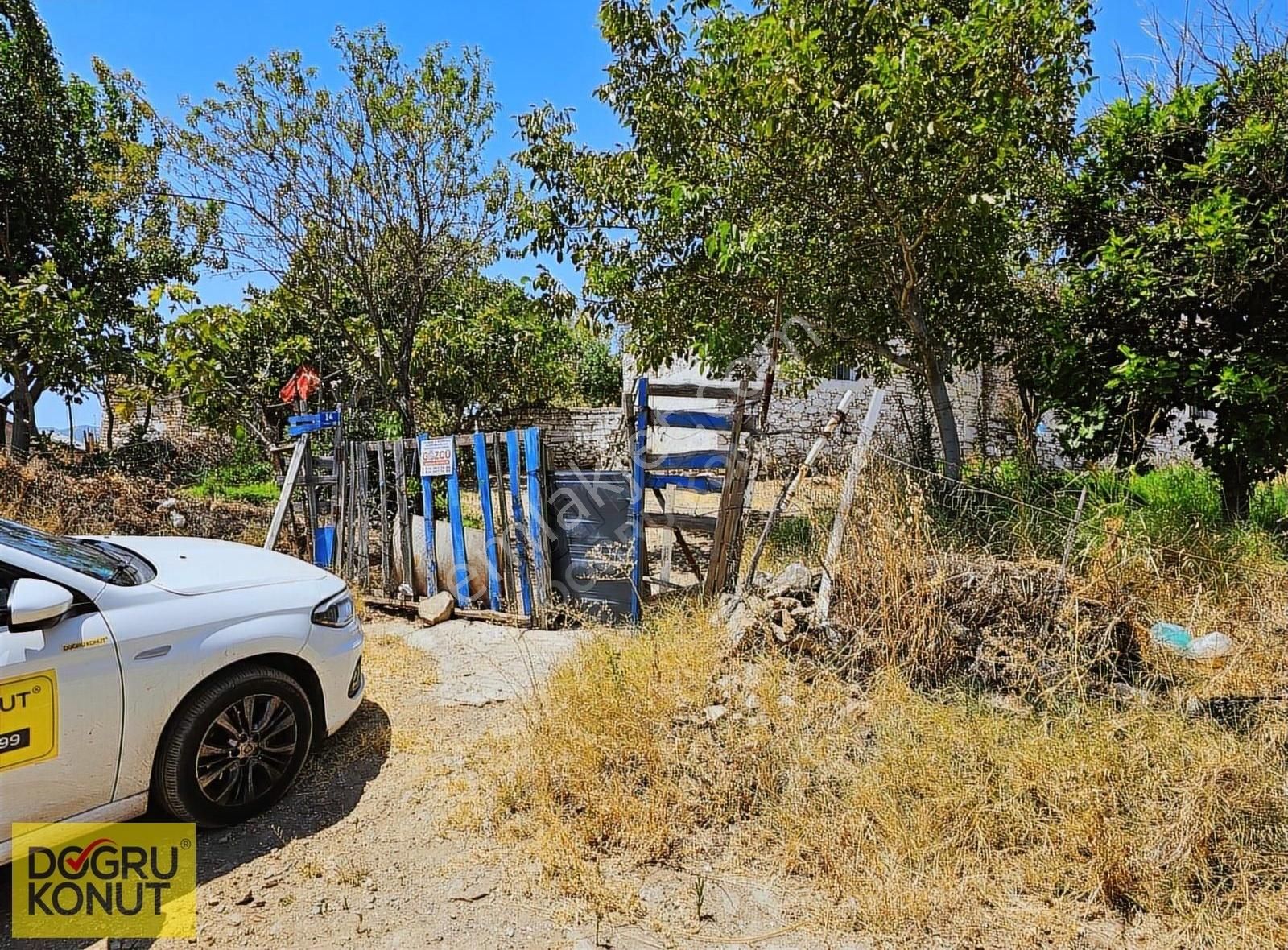 Aydın Çine Doğrumlar Köyün'de Satılık 961 M2 Mustakil Taş Ev