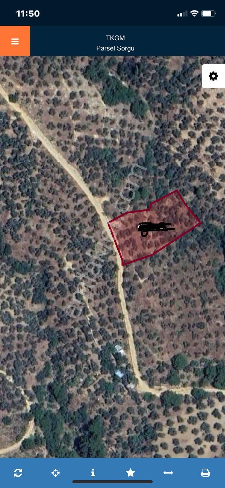 Olcaysu'dan Güre'de 2065m2 Deniz Manzaralı Muhteşem Zeytinlik