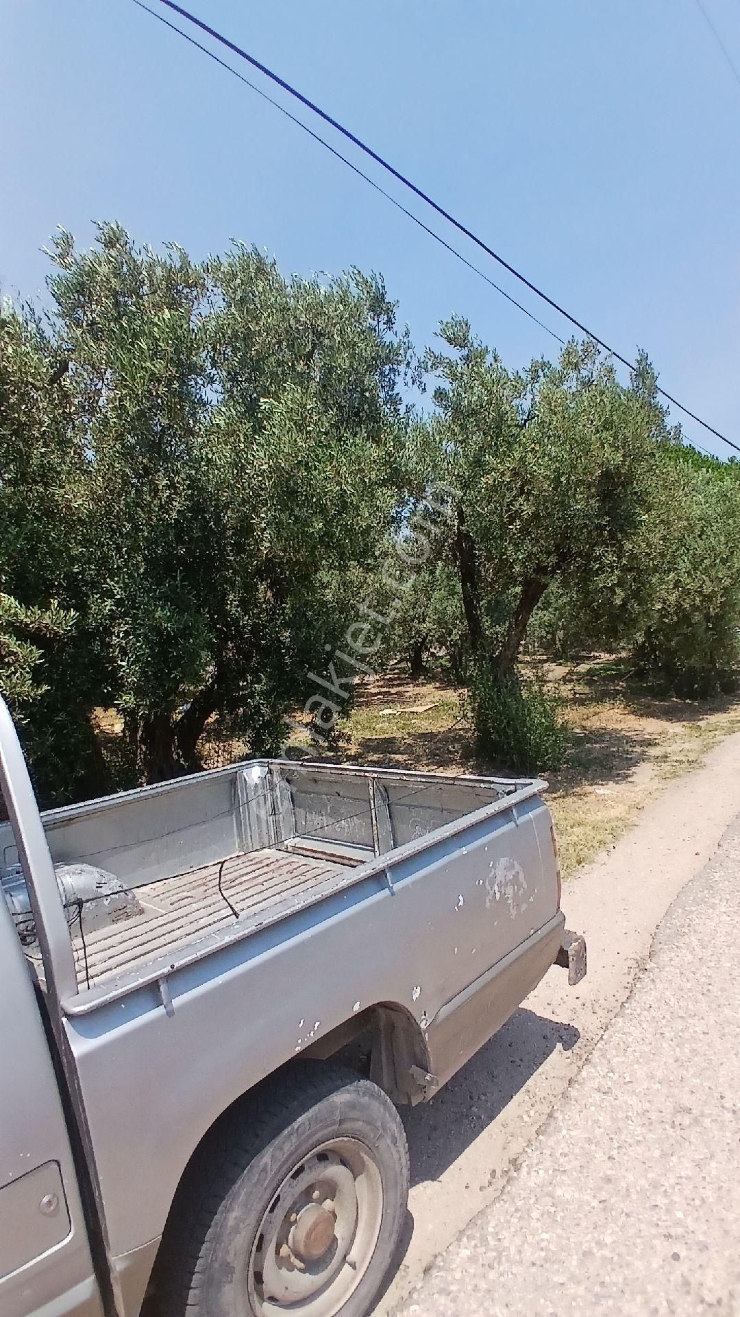 Erdek Düzlerde Merkezde Satılık Süper Yer. - Görsel 14