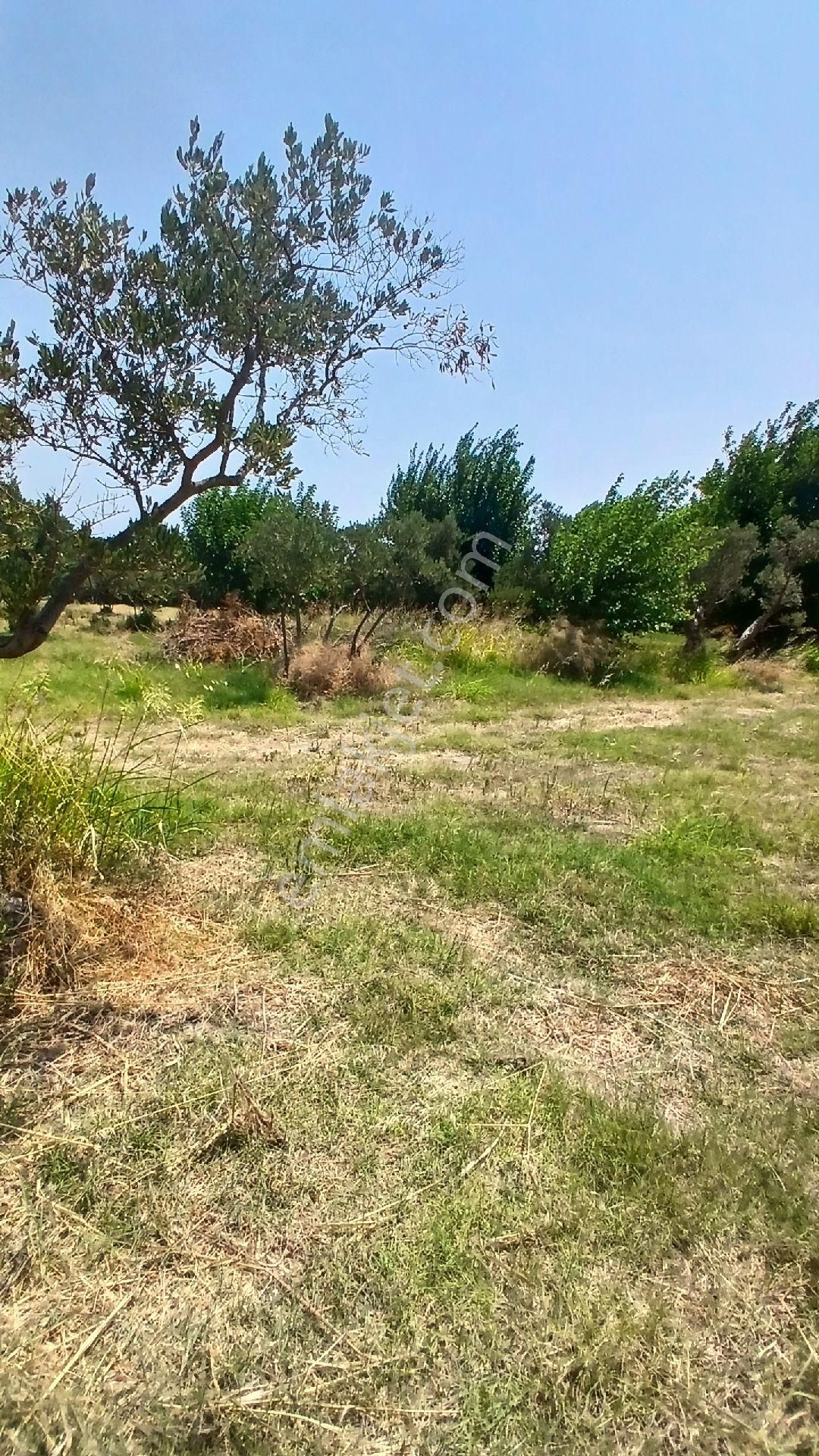 Erdek Düzlerde Merkezde Satılık Süper Yer. - Görsel 8
