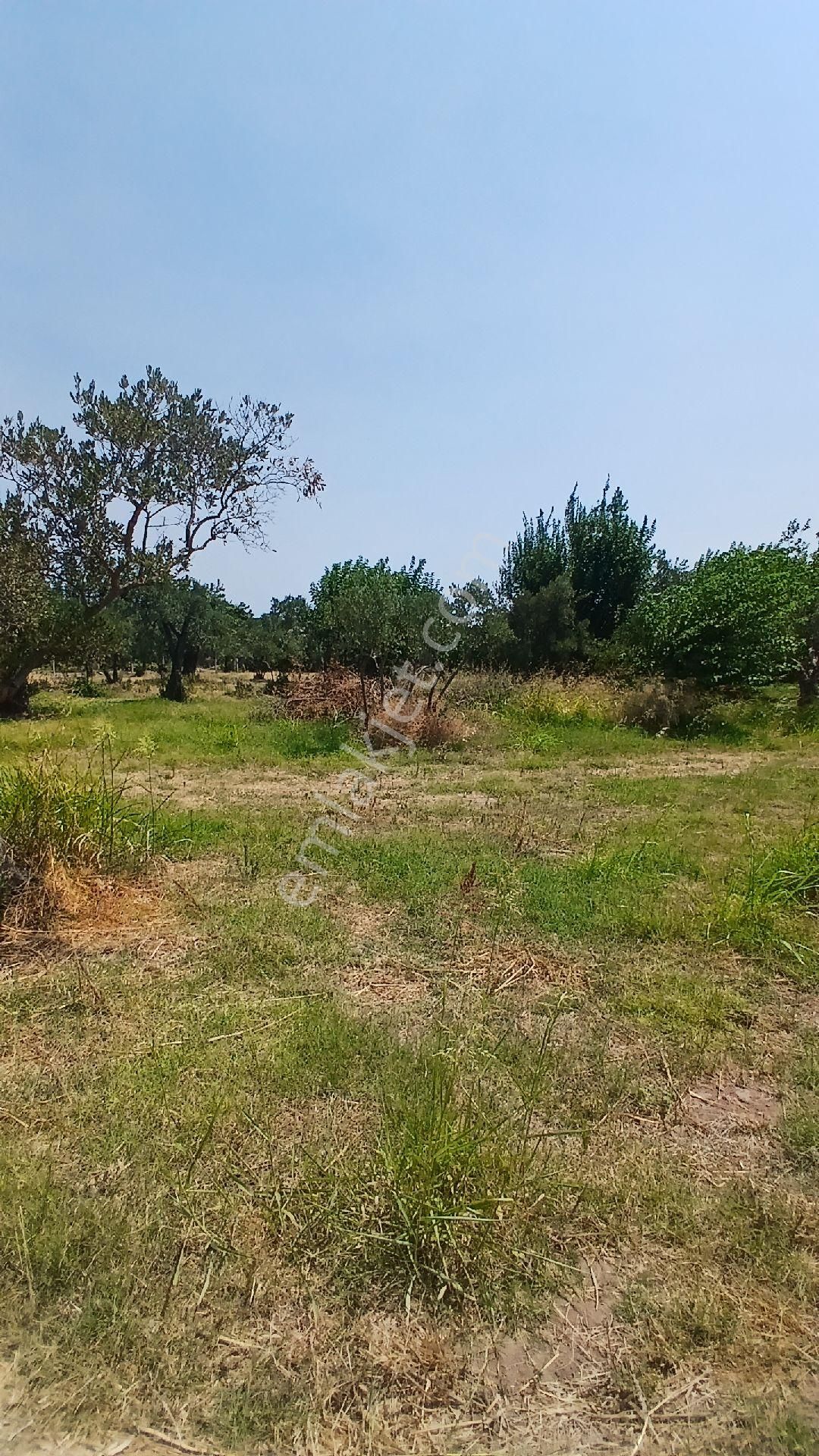 Erdek Düzlerde Merkezde Satılık Süper Yer. - Görsel 6