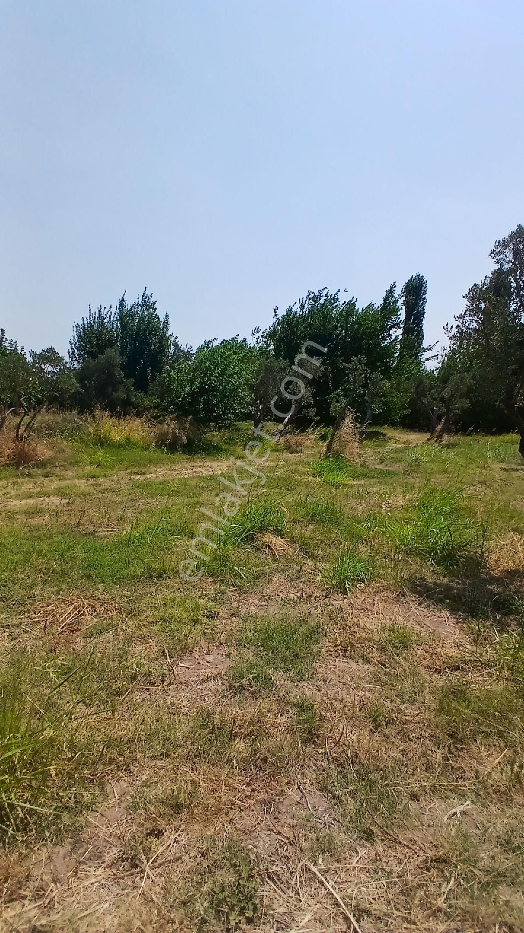 Erdek Düzlerde Merkezde Satılık Süper Yer. - Görsel 2