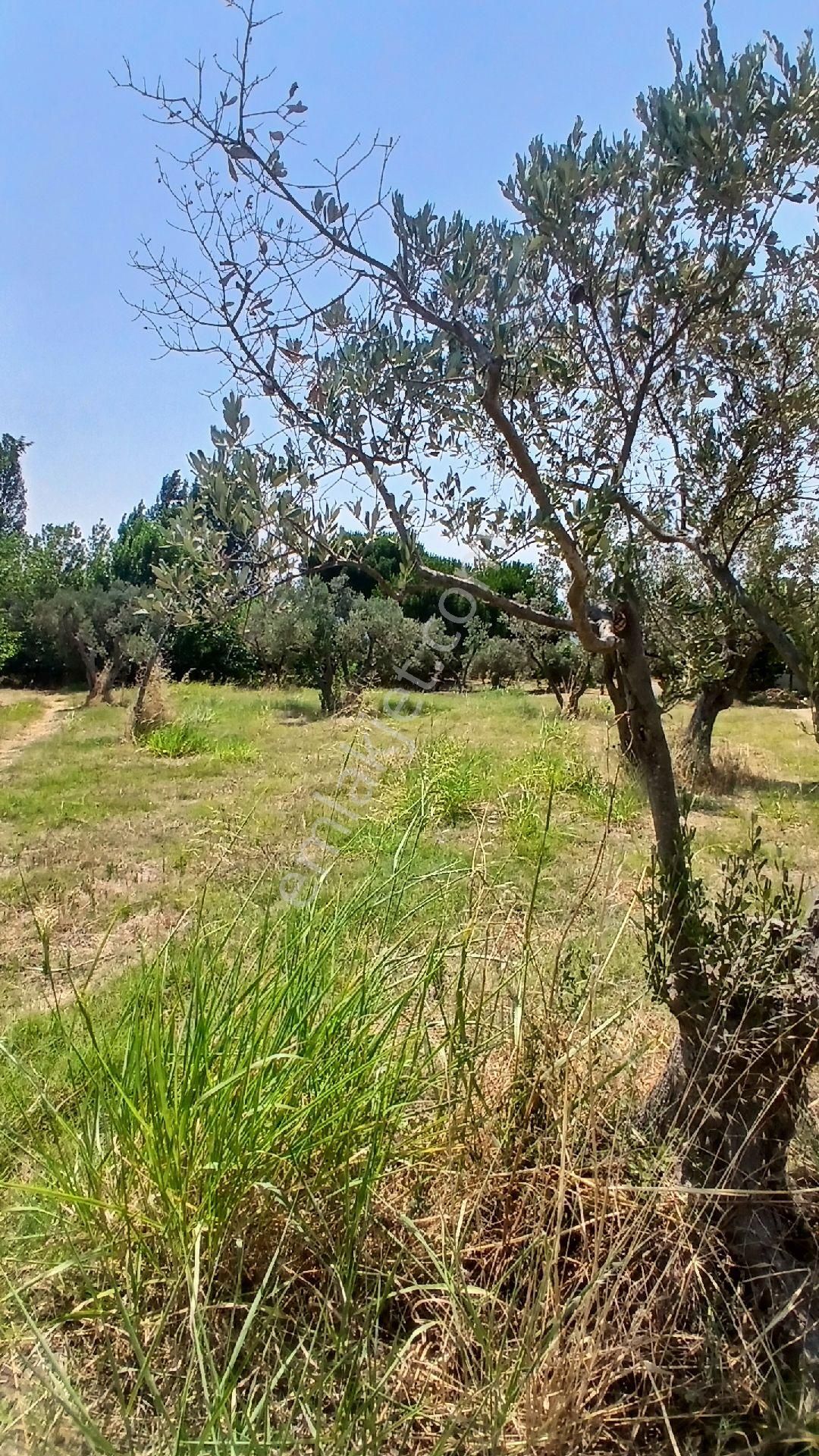 Erdek Düzlerde Merkezde Satılık Süper Yer. - Görsel 11