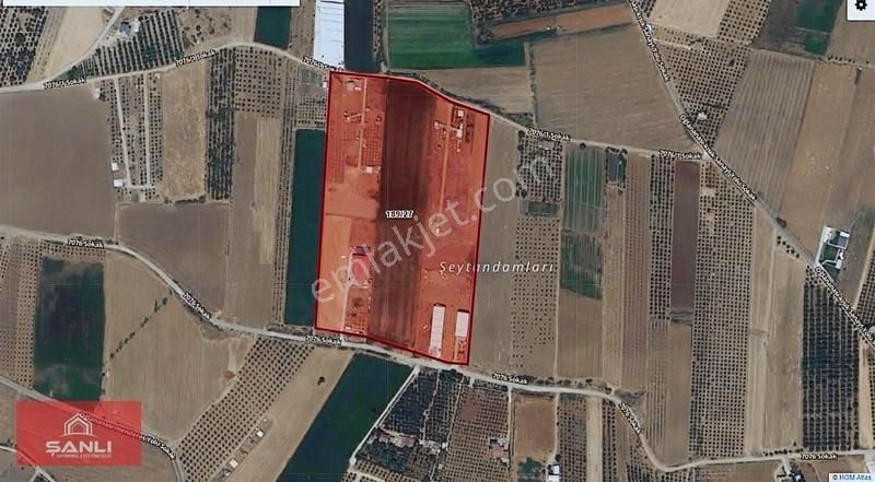 Menderes Oğlananası Satılık Tarla