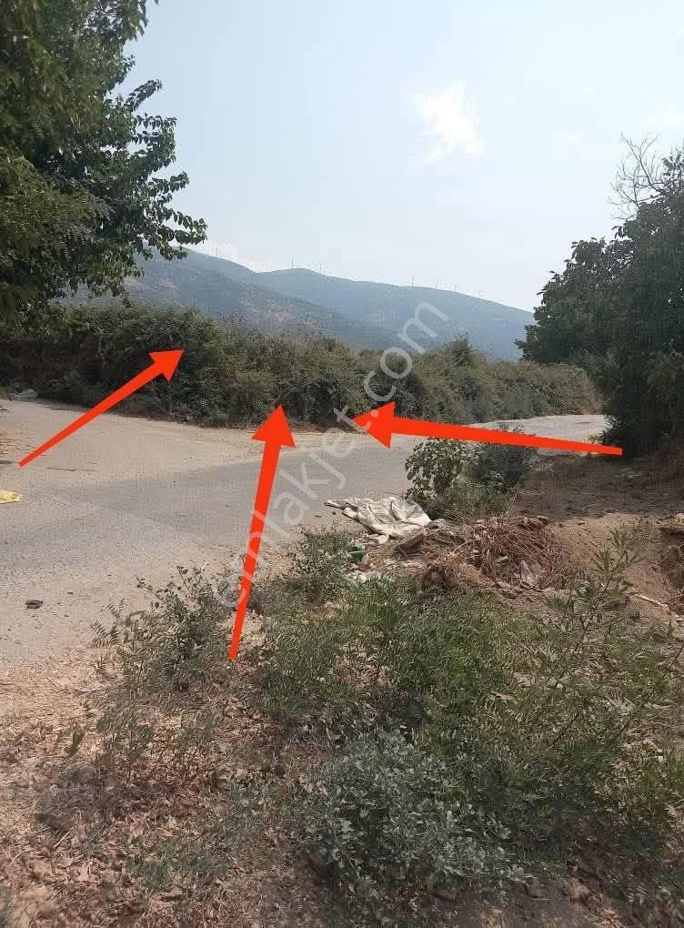 Boynuyogun Mahallesınde Köşe Konumdakı Tarla Satılıktır.