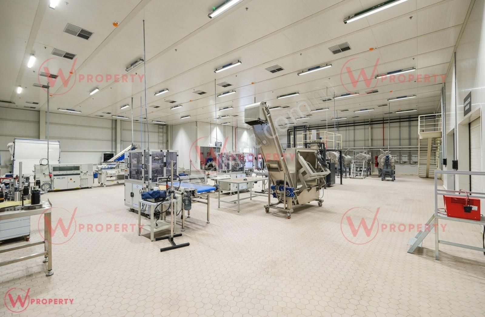W Property'den Limana 2 Km A Tipi Gümrüklü Soğukhavalı Antrepo
